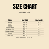 Ningaloo Bandeau Top